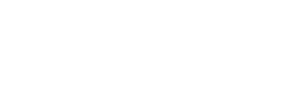 AdNexa.ai